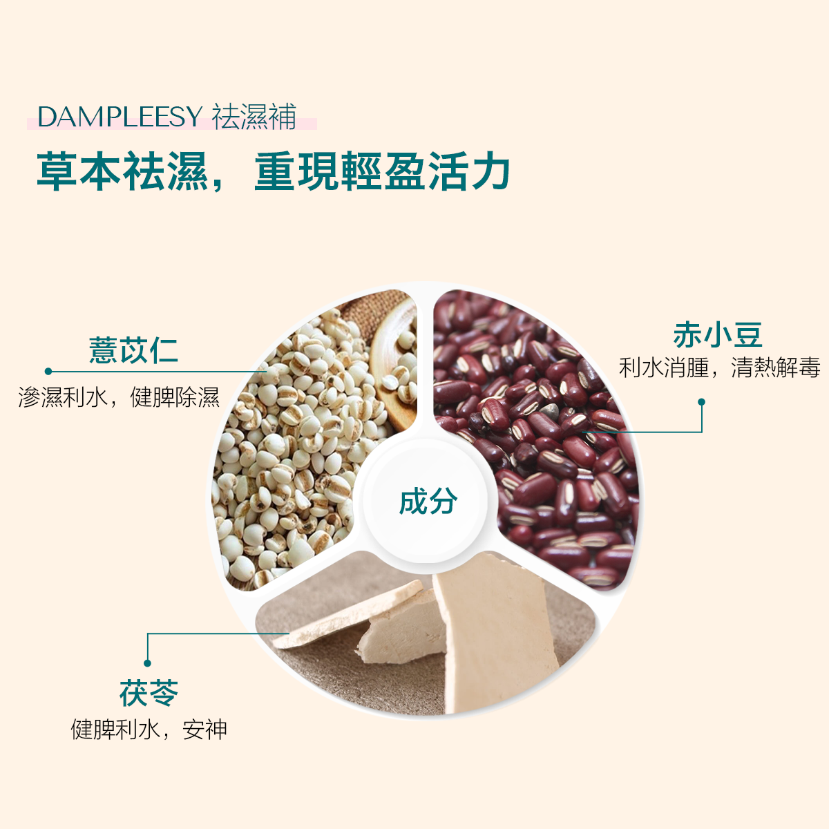 Dampleesy 祛濕補 草本成分