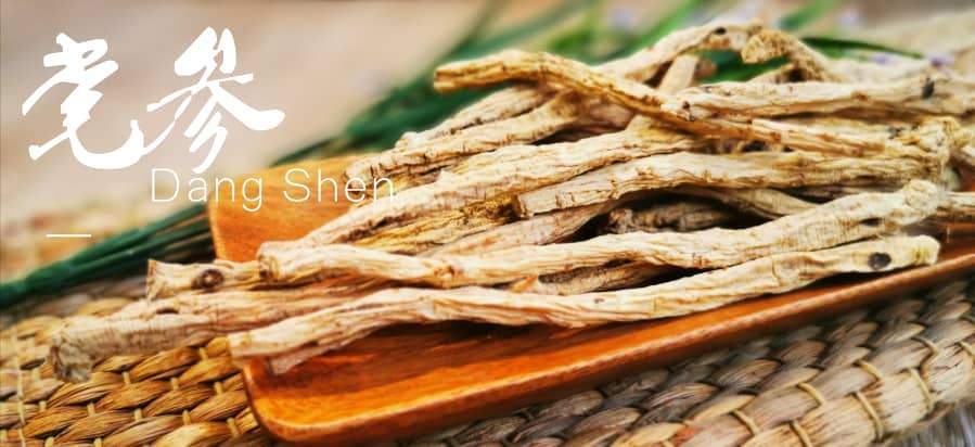 党参知多少 ?? 🧐 - Food Art Store