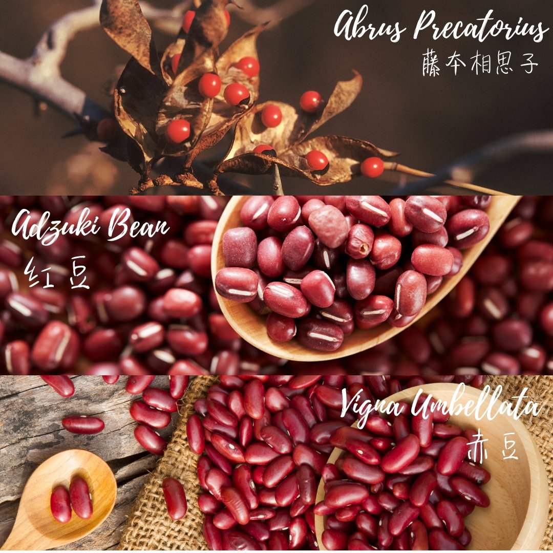 红豆一般有哪些种类呢? 🤷🏻‍♀️  What kind of red beans do we usually eat? - Food Art Store